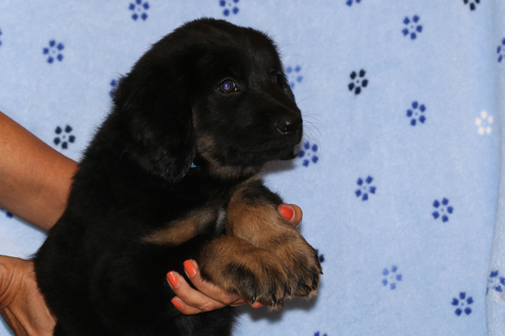 %_tempFileNameIMG_2919%