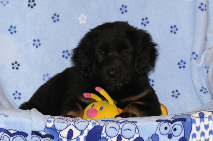 %_tempFileNameIMG_2925%