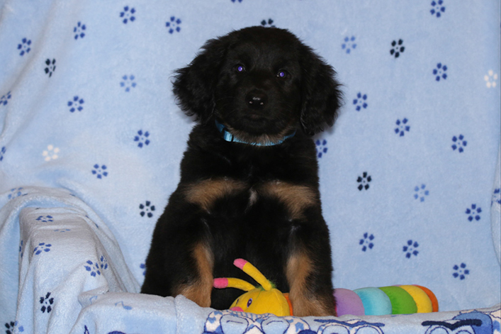 %_tempFileNameIMG_2932%