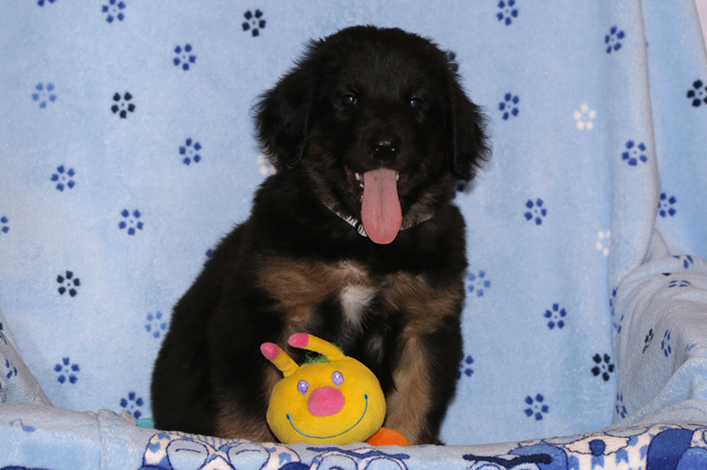 %_tempFileNameIMG_2947%