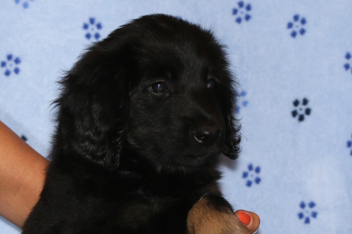 %_tempFileNameIMG_2951%