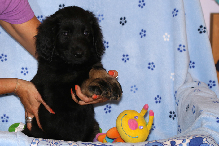 %_tempFileNameIMG_2956%