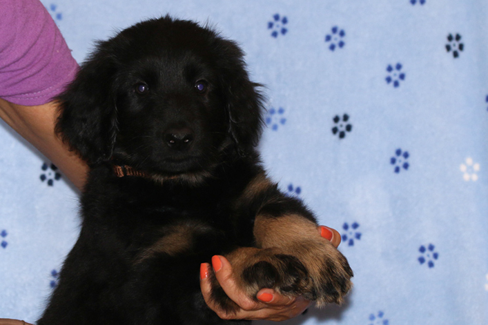 %_tempFileNameIMG_2964%