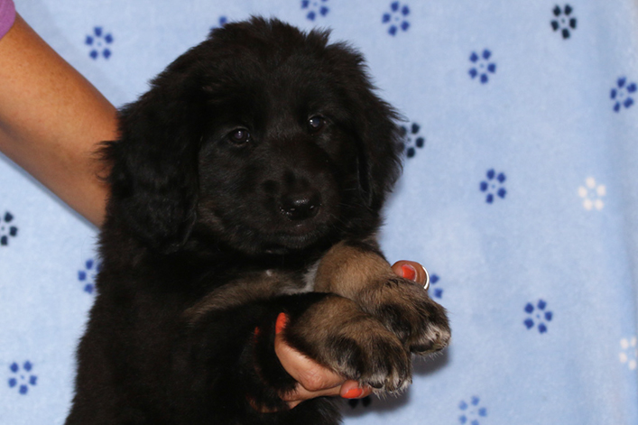 %_tempFileNameIMG_2974%