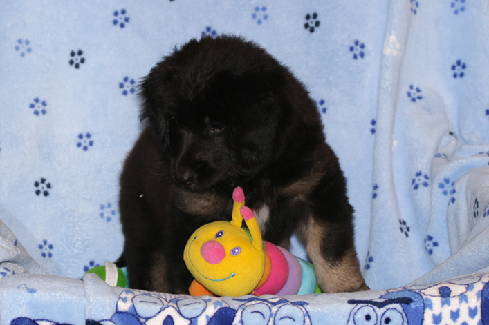 %_tempFileNameIMG_2981%