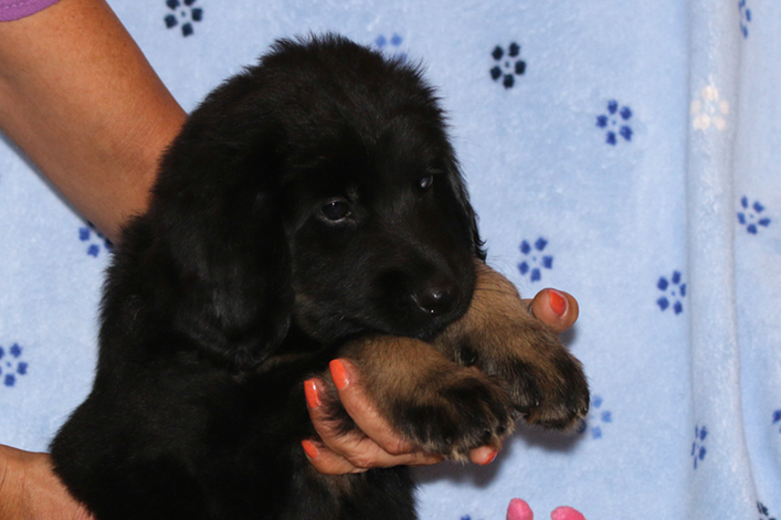 %_tempFileNameIMG_2995%