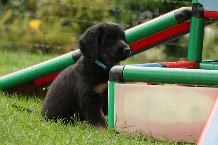 %_tempFileNameIMG_3014%