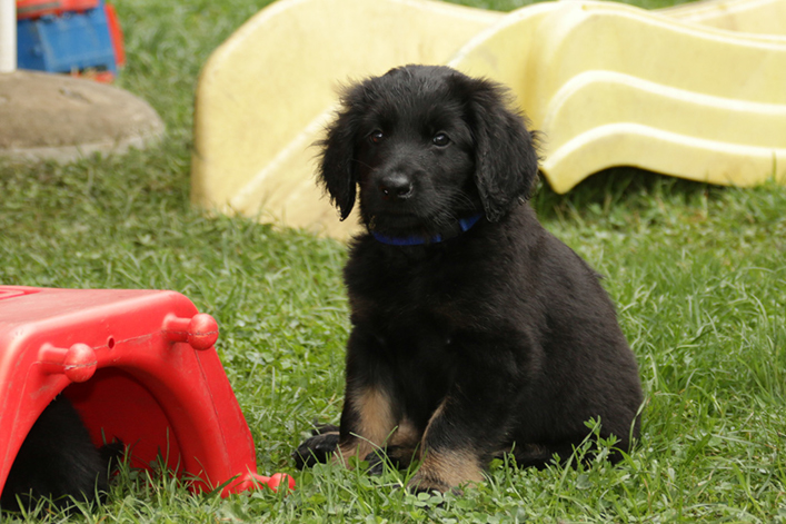 %_tempFileNameIMG_3021%