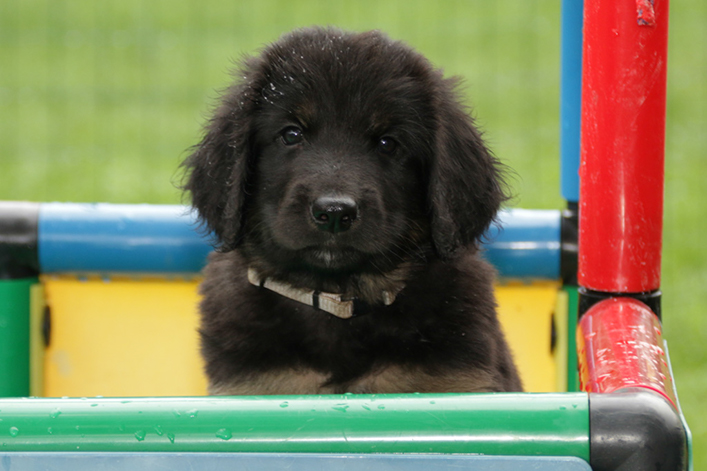 %_tempFileNameIMG_3054%