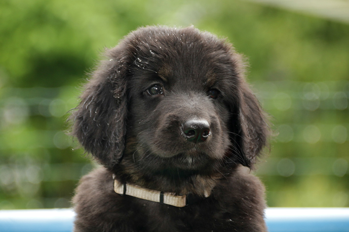 %_tempFileNameIMG_3055%