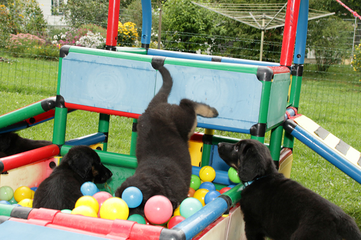 %_tempFileNameIMG_3060%