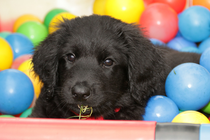 %_tempFileNameIMG_3082%