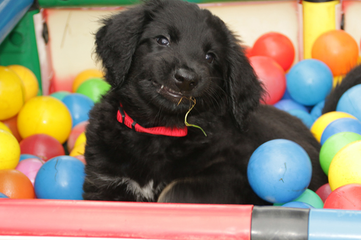 %_tempFileNameIMG_3083%