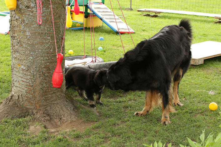 %_tempFileNameIMG_3294%