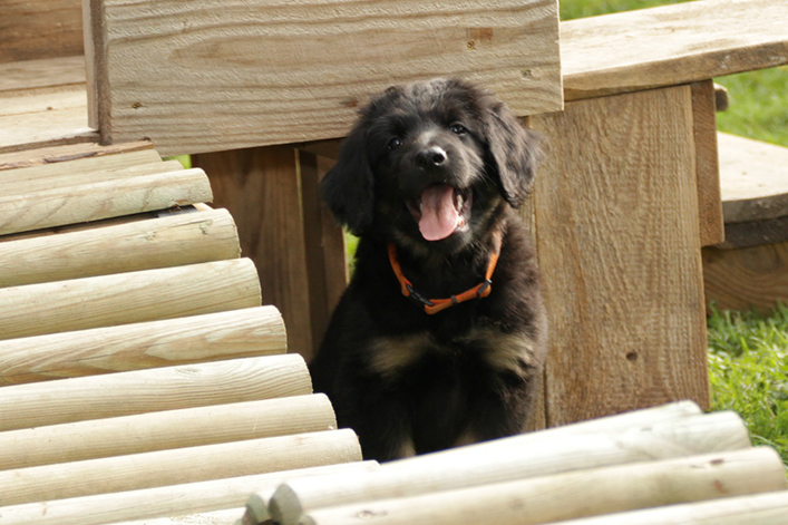 %_tempFileNameIMG_3303%