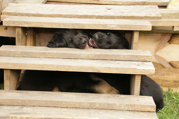 %_tempFileNameIMG_3308%