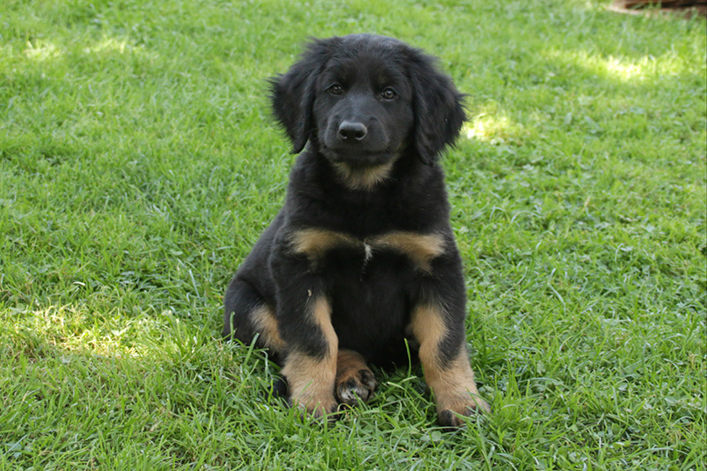 %_tempFileNameIMG_3383%