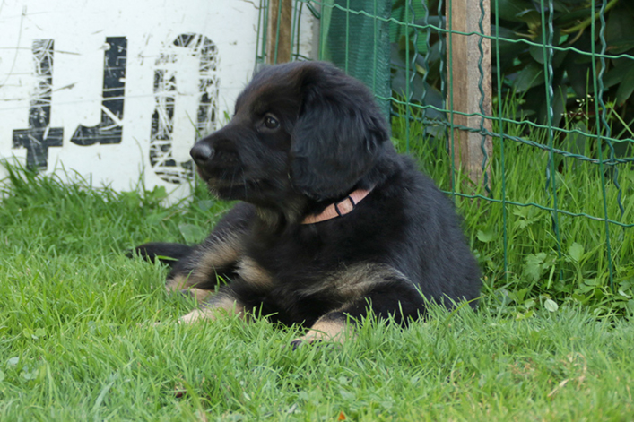 %_tempFileNameIMG_3491%