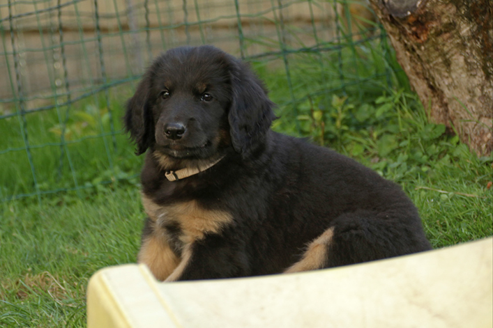 %_tempFileNameIMG_3511%