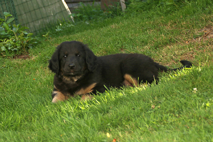 %_tempFileNameIMG_3514%