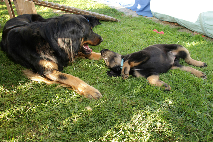 %_tempFileNameIMG_3521%