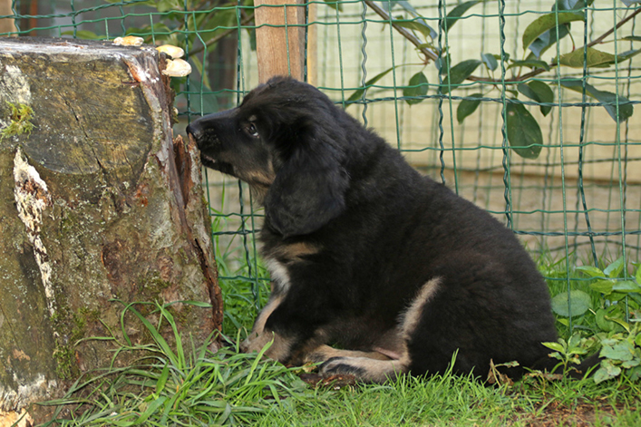 %_tempFileNameIMG_3538%