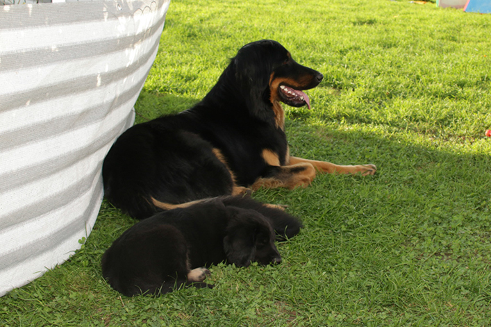 %_tempFileNameIMG_3546%