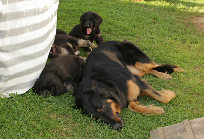 %_tempFileNameIMG_3556%