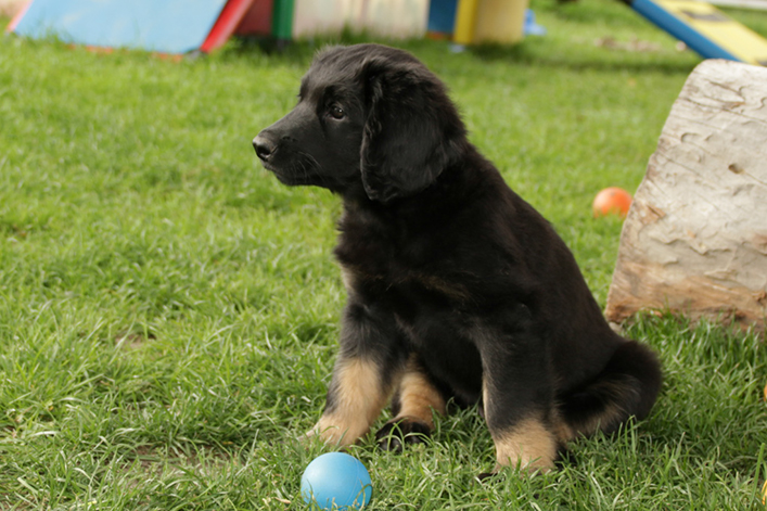 %_tempFileNameIMG_3579%