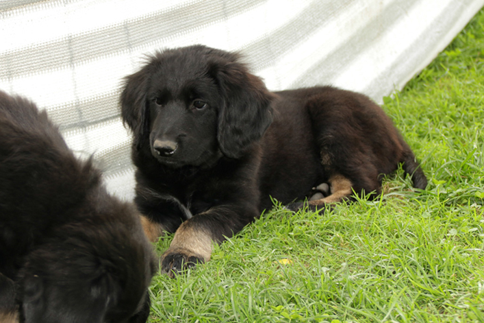 %_tempFileNameIMG_3584%