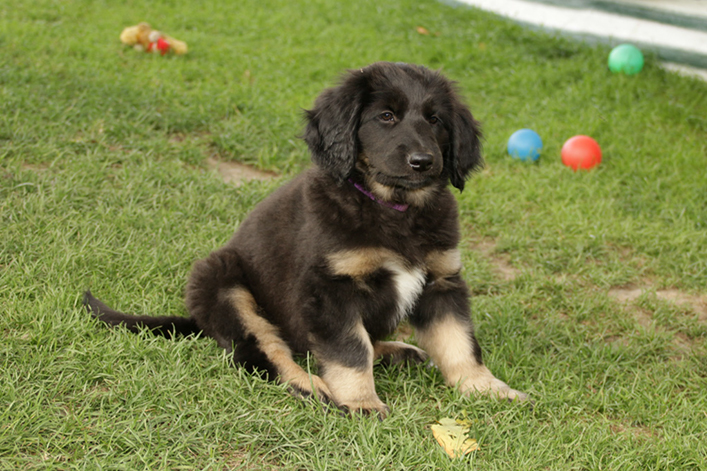 %_tempFileNameIMG_3586%