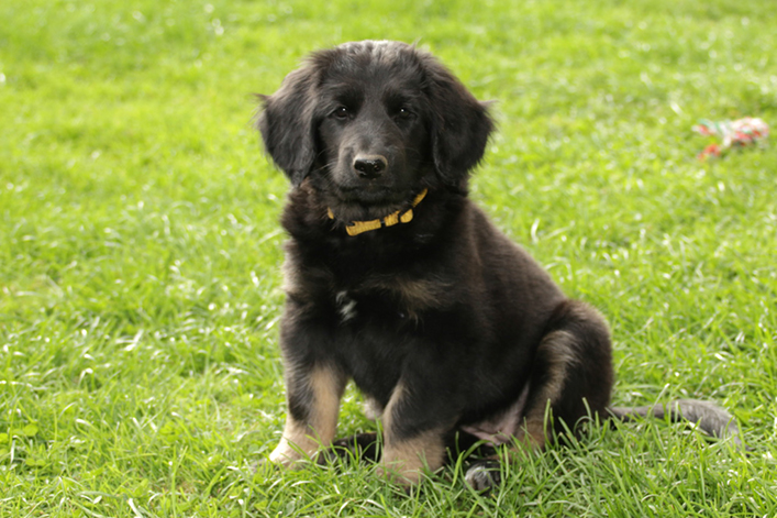 %_tempFileNameIMG_3588%