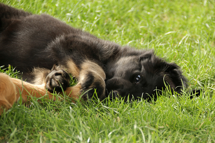 %_tempFileNameIMG_3592%