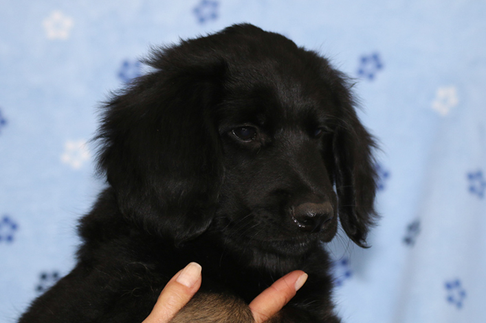 %_tempFileNameIMG_3639%