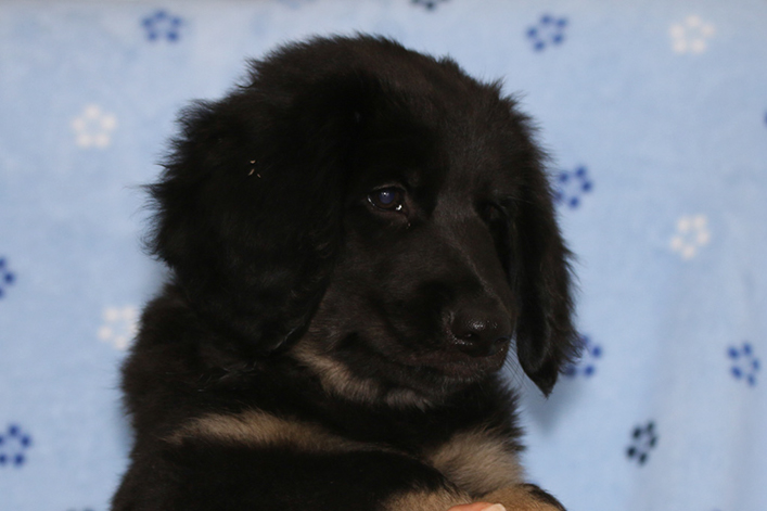 %_tempFileNameIMG_3680%