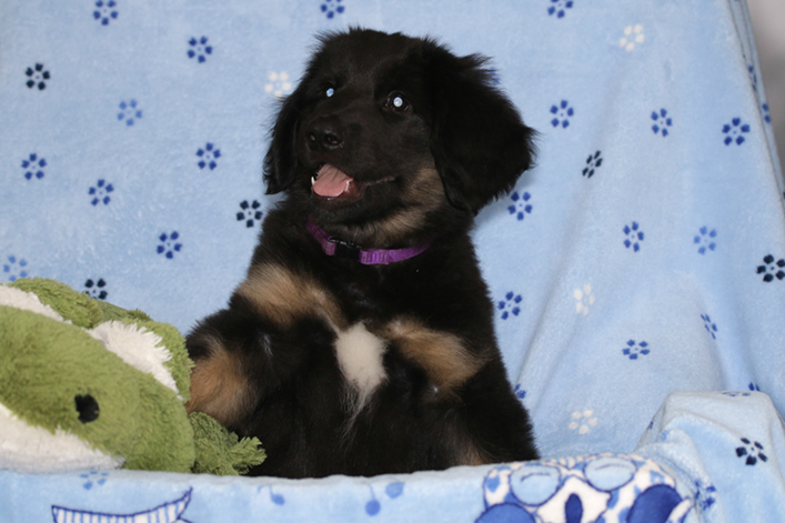 %_tempFileNameIMG_3711%