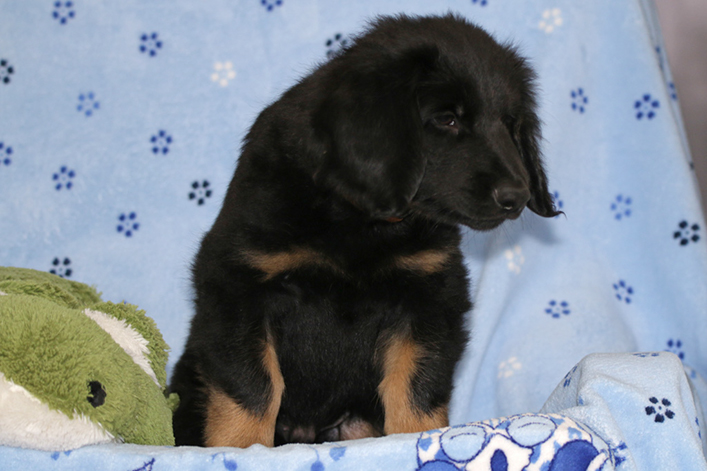 %_tempFileNameIMG_3733%