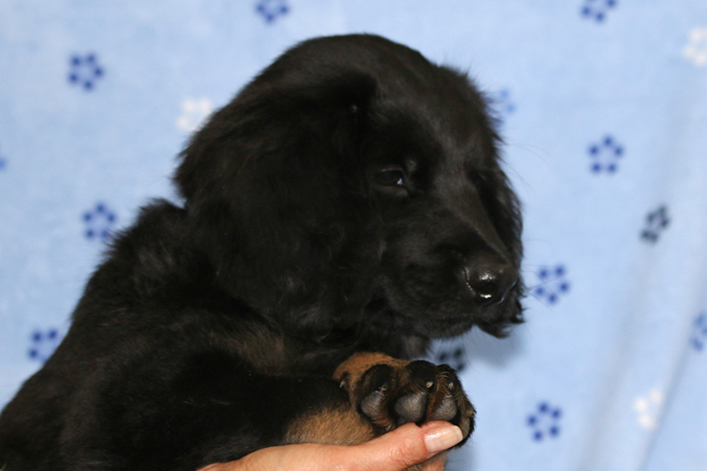 %_tempFileNameIMG_3742%