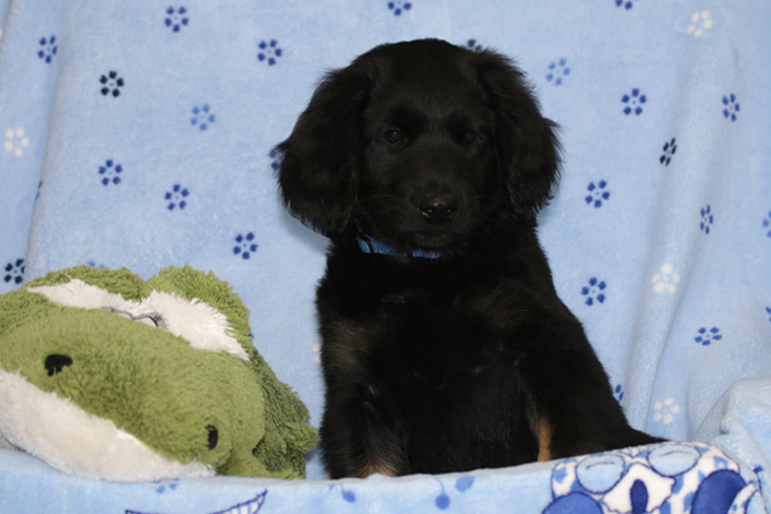 %_tempFileNameIMG_3753%