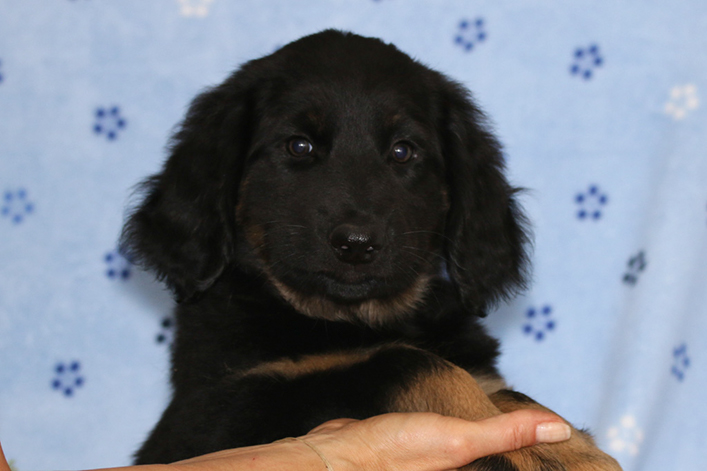 %_tempFileNameIMG_3767%