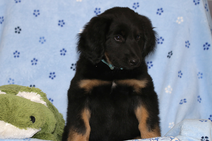 %_tempFileNameIMG_3782%