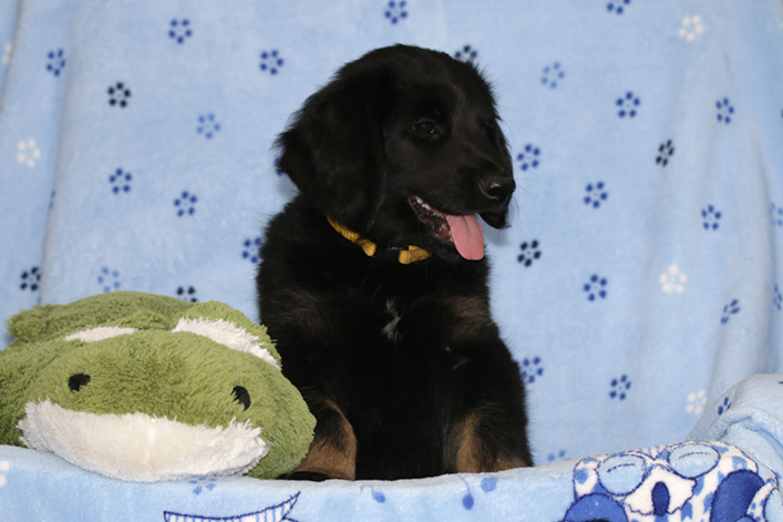 %_tempFileNameIMG_3812%