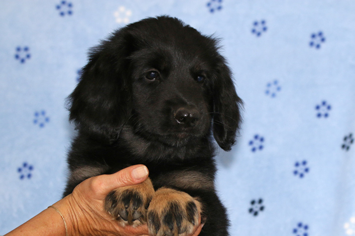 %_tempFileNameIMG_3820%