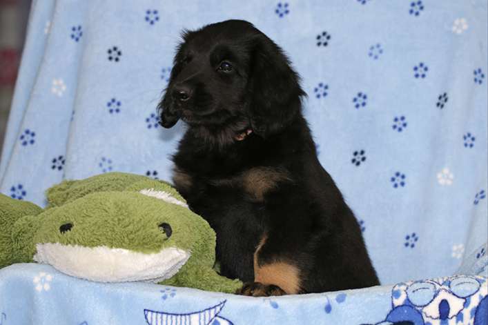 %_tempFileNameIMG_3839%