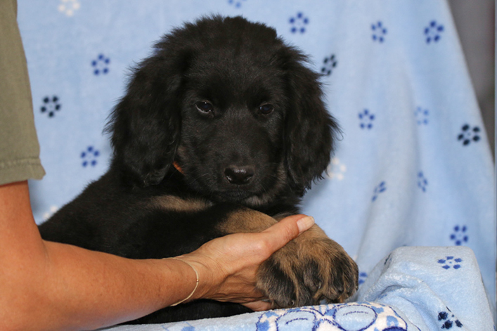 %_tempFileNameIMG_3862%