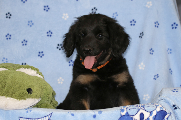 %_tempFileNameIMG_3885%