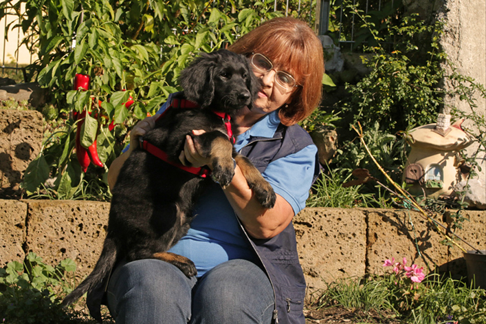 %_tempFileNameabschied_osiris2%