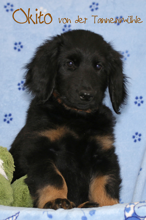 %_tempFileNameokito%