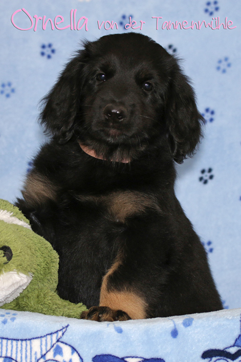 %_tempFileNameornella%