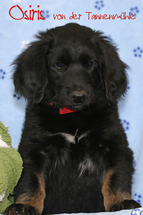 %_tempFileNameosiris%